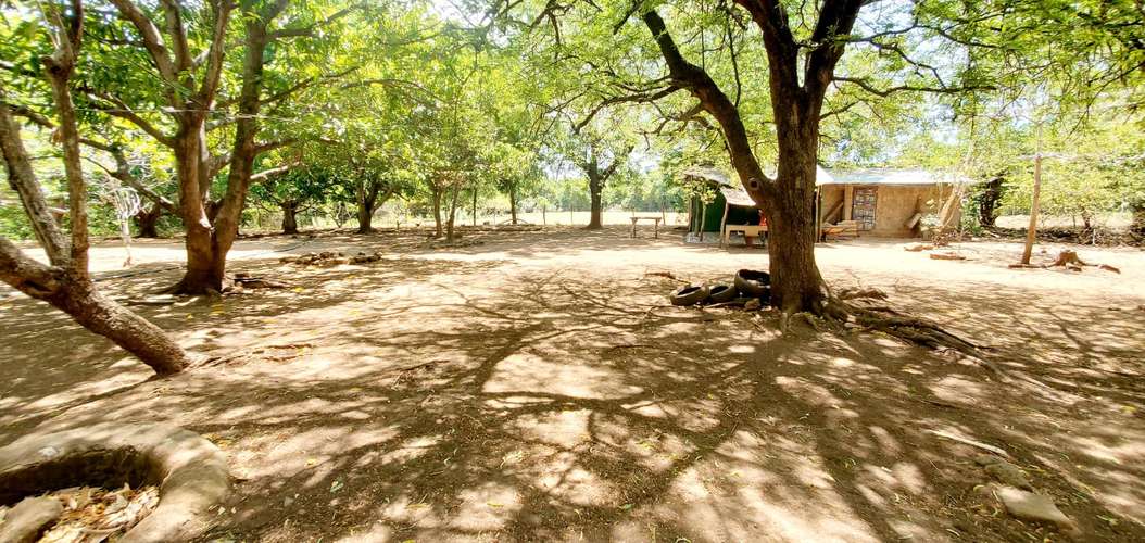 Venta Finca  - Imagen 9