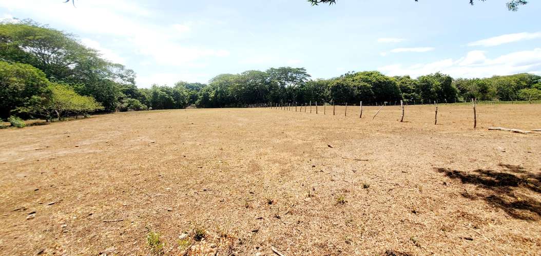Venta Finca  - Imagen 16