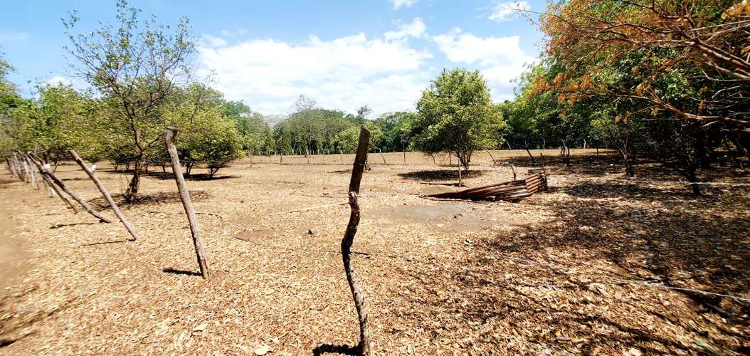 Venta Finca  - Imagen 6