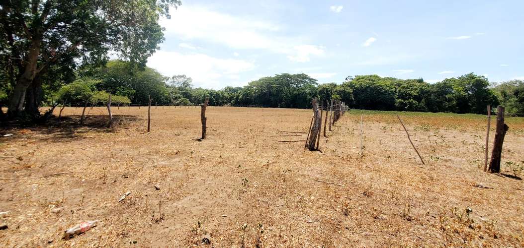 Venta Finca  - Imagen 7