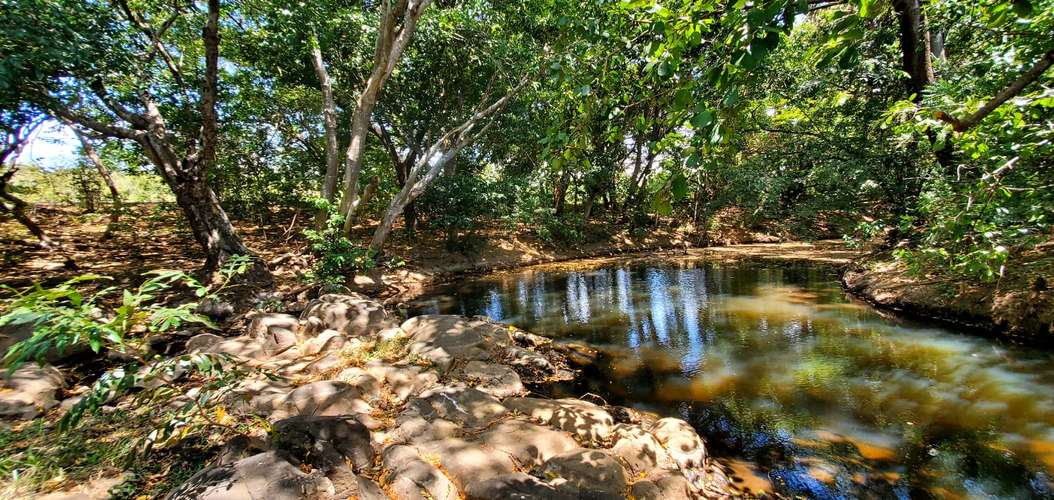 Venta Finca  - Imagen 4