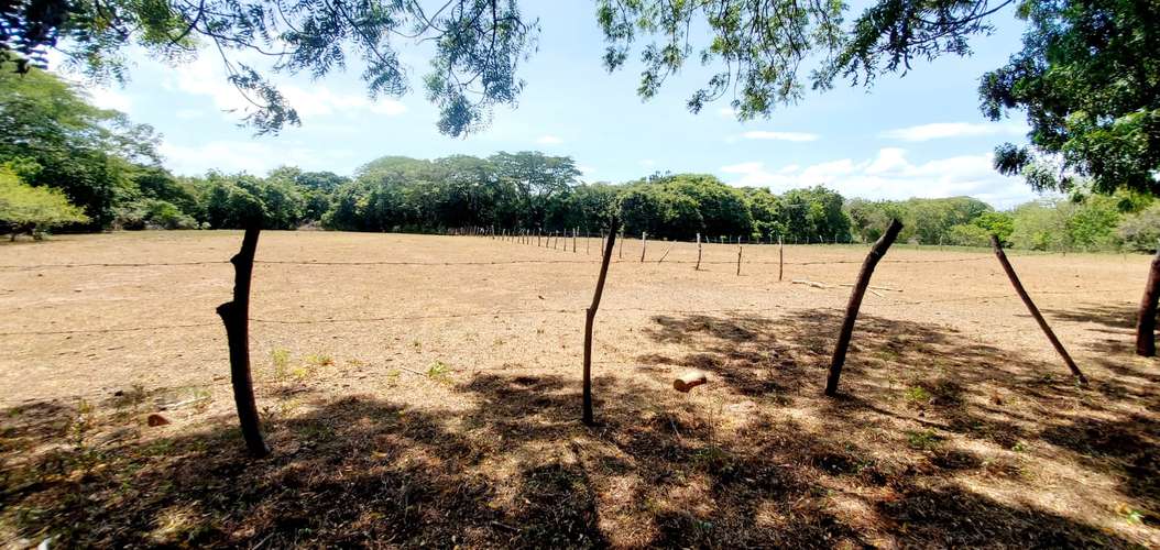 Venta Finca  - Imagen 17