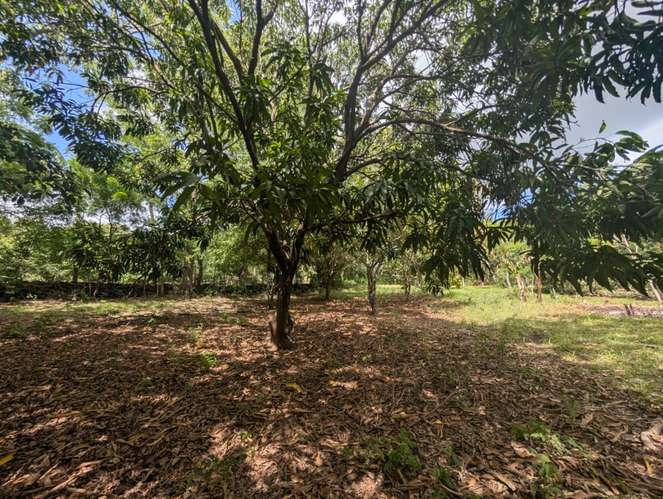 Venta de Finca en Veracruz 