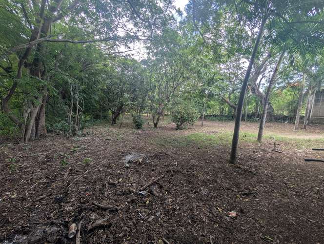 Venta de Finca en Veracruz 