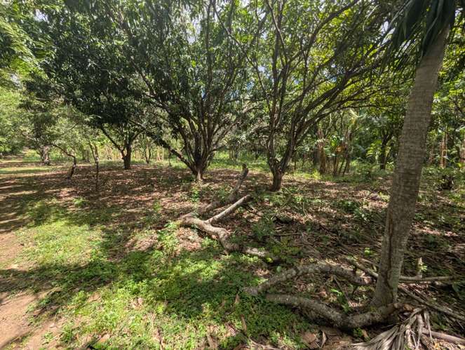 Venta de Finca en Veracruz 