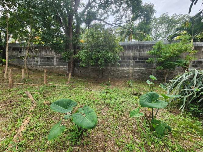 Se vende terreno en carretera sur - Imagen 4
