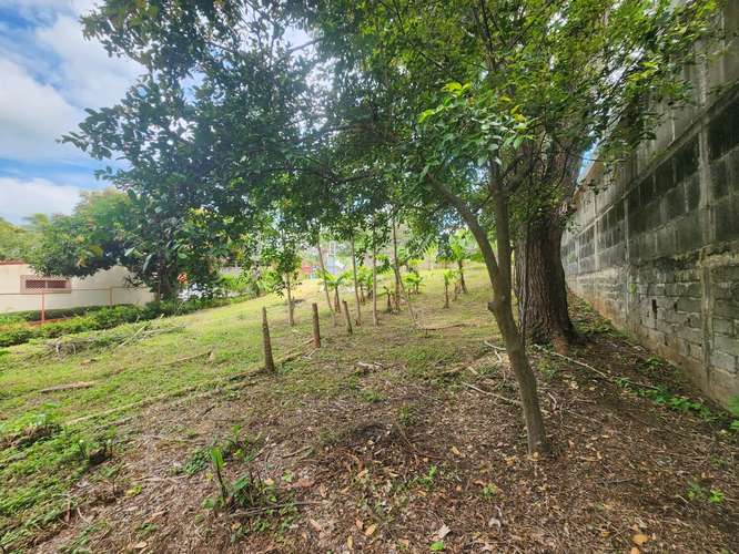 Se vende terreno en carretera sur - Imagen 7