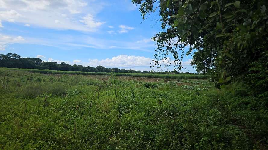 EC-¡Oportunidad Única de Inversión en Carretera Masaya-Granada! Terreno de 9.45 manzanas en venta - Imagen 5
