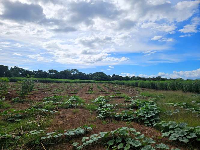EC-¡Oportunidad Única de Inversión en Carretera Masaya-Granada! Terreno de 9.45 manzanas en venta - Imagen 4