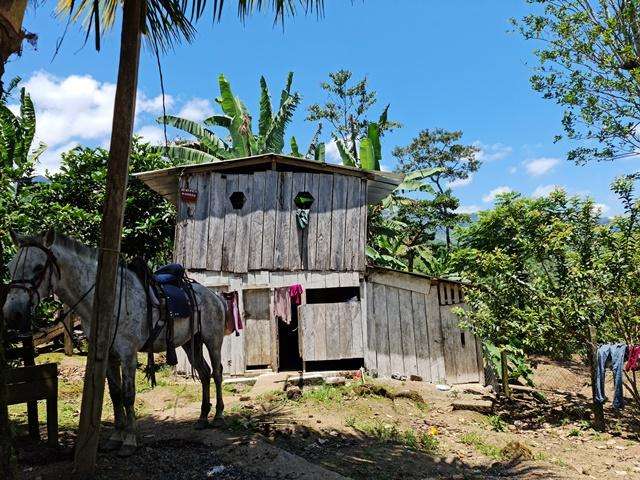 ¡SE VENDE FINCA CAFETALERA EN MURRA, NUEVA SEGOVIA