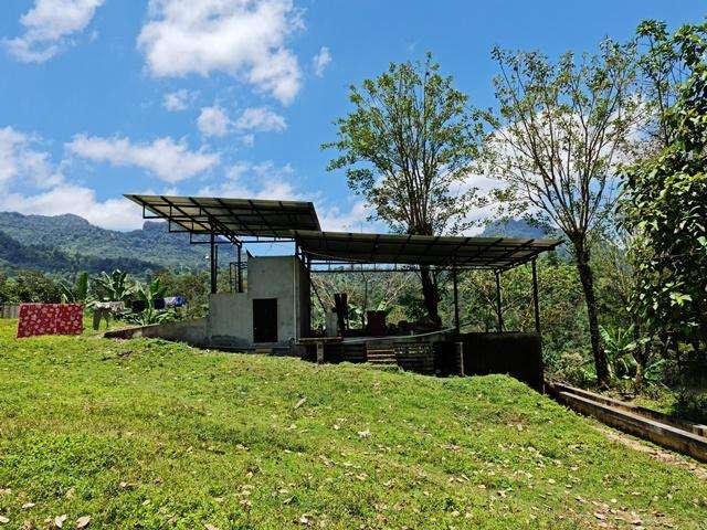 ¡SE VENDE FINCA CAFETALERA EN MURRA, NUEVA SEGOVIA - Imagen 3
