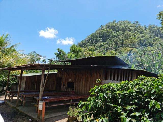 ¡SE VENDE FINCA CAFETALERA EN MURRA, NUEVA SEGOVIA - Imagen 2