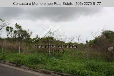 Venta de Terreno sobre Pista Suburbana  - Imagen 9