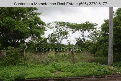 Venta de Terreno sobre Pista Suburbana  - Imagen 11