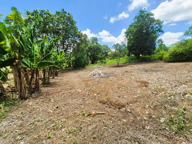 LL - Se Vende Terreno en San Isidro de la Cruz Verde - Imagen 3