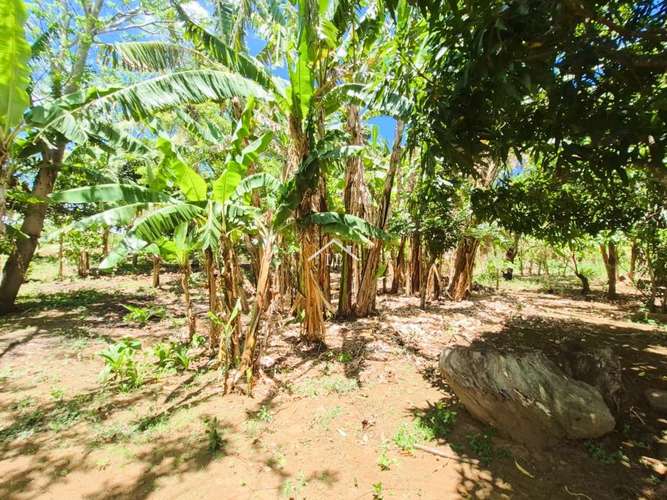 LL - Se Vende Terreno en San Isidro de la Cruz Verde - Imagen 12