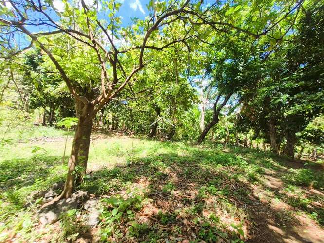 LL - Se Vende Terreno en San Isidro de la Cruz Verde - Imagen 11
