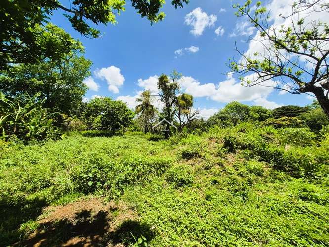 LL - Se Vende Terreno en San Isidro de la Cruz Verde - Imagen 15
