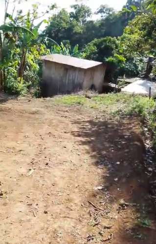 SE VENDE FINCA AGRÍCOLA EN ABISINIA, LA PAVONA - Imagen 5