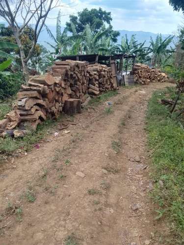 SE VENDE FINCA AGRÍCOLA EN ABISINIA, LA PAVONA - Imagen 4