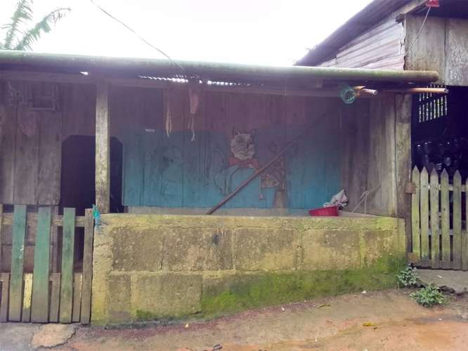 SE VENDE FINCA AGRÍCOLA EN ABISINIA, LA PAVONA - Imagen 6