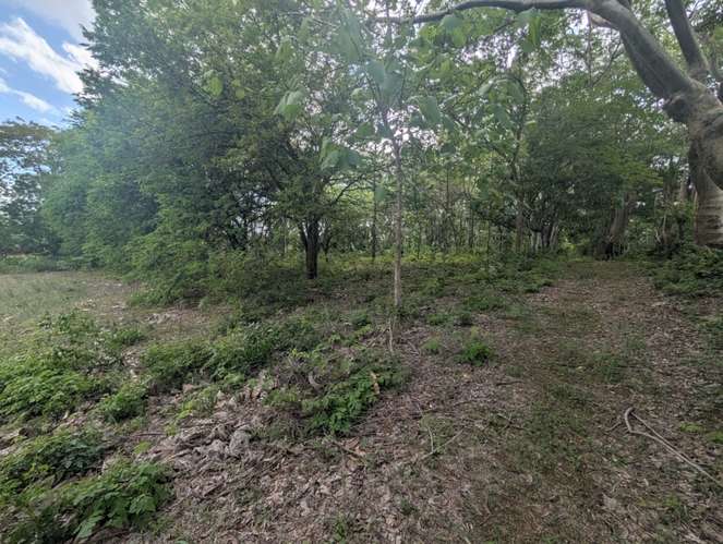 Venta de Finca en Veracruz  - Imagen 18