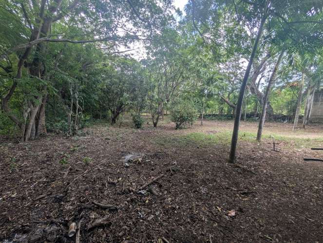 Venta de Finca en Veracruz  - Imagen 16