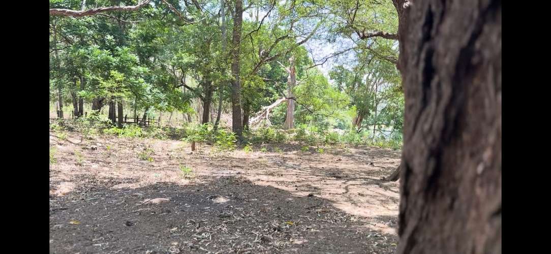 Venta de Finca en Jinotepe , Carazo  - Imagen 19