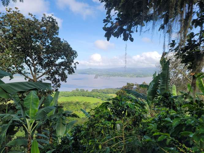 Finca productiva de café y ganado con amplios pastos en Jinotega - Imagen 18