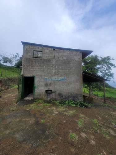 Finca productiva de café y ganado con amplios pastos en Jinotega - Imagen 14
