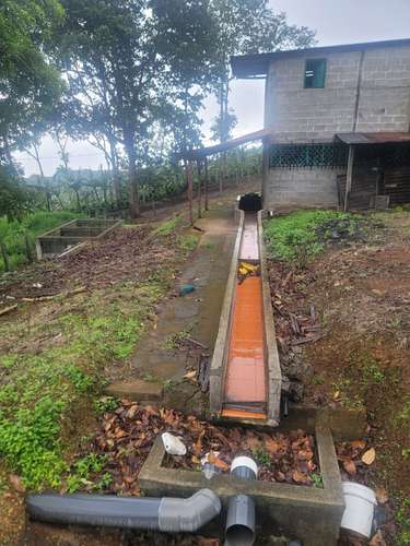 Finca productiva de café y ganado con amplios pastos en Jinotega - Imagen 16