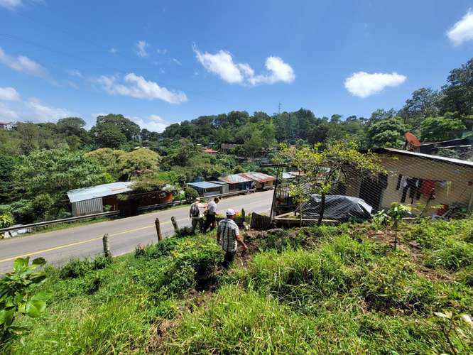 Finca productiva de café y ganado con amplios pastos en Jinotega - Imagen 11