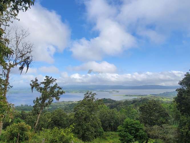 Finca productiva de café y ganado con amplios pastos en Jinotega - Imagen 3