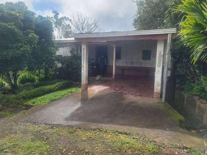 Finca productiva de café y ganado con amplios pastos en Jinotega - Imagen 13