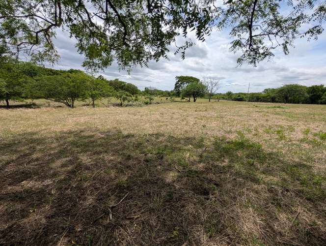 Venta de Finca en Salinas Grande, Leon  - Imagen 13