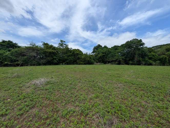 Venta de Finca en Salinas Grande, Leon  - Imagen 5