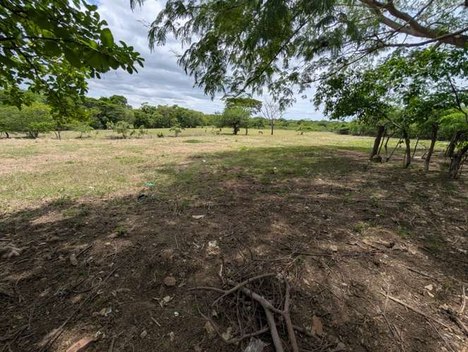 Venta de Finca en Salinas Grande, Leon  - Imagen 10