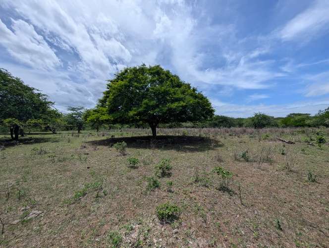 Venta de Finca en Salinas Grande, Leon  - Imagen 3