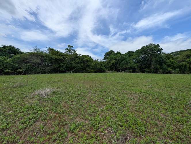 Venta de Finca en Salinas Grande, Leon  - Imagen 14
