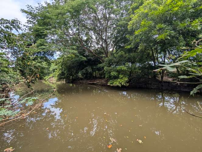 Venta de Finca en Salinas Grande, Leon  - Imagen 7