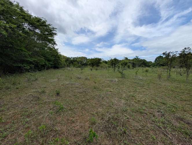 Venta de Finca en Salinas Grande, Leon  - Imagen 6