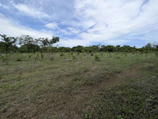 Venta de Finca en Salinas Grande, Leon  - Imagen 16