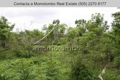 Venta de Terreno sobre Pista Suburbana  - Imagen 16