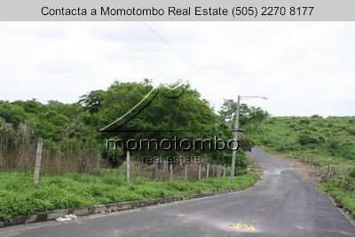 Venta de Terreno sobre Pista Suburbana  - Imagen 2
