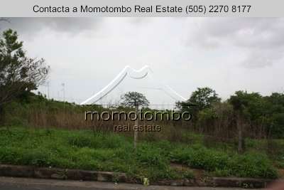 Venta de Terreno sobre Pista Suburbana  - Imagen 17