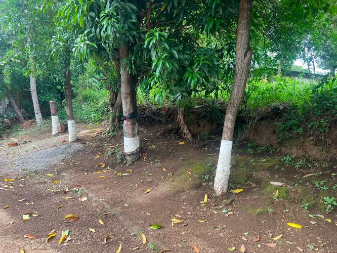Venta de Terreno en Carretera Sur  - Imagen 13