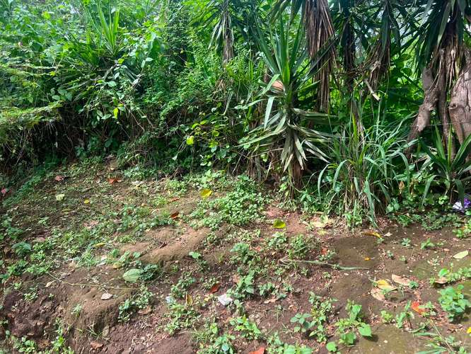 Venta de Terreno en Carretera Sur  - Imagen 16