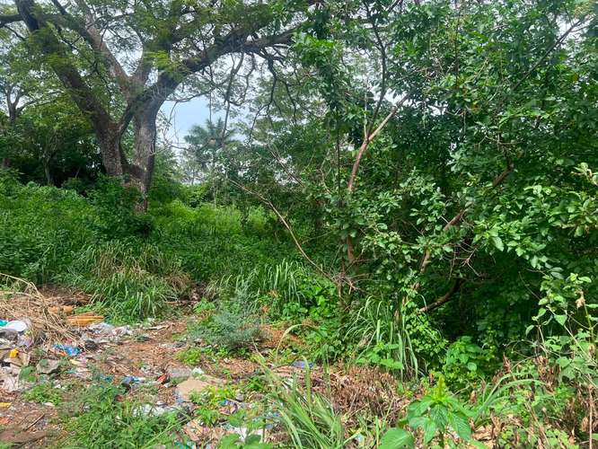 Venta de Terreno en Carretera Sur  - Imagen 12