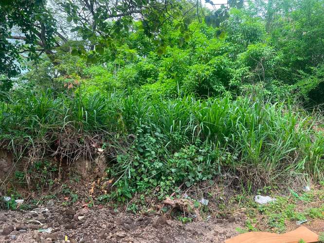 Venta de Terreno en Carretera Sur  - Imagen 17