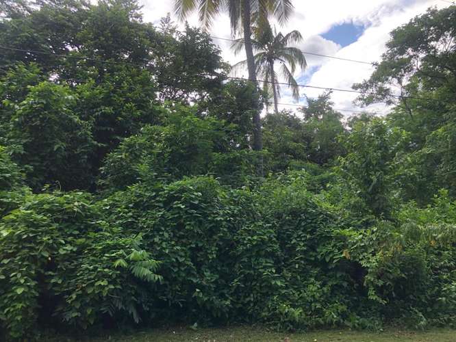 Venta de Terreno en Villa Fontana  - Imagen 17